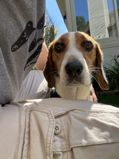 BRUNO