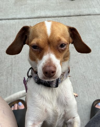 SUSIE 8/10/26